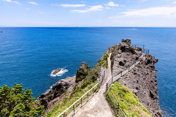 『バス一人2席/個人では行きにくい伊豆半島最南端・石廊崎へご案内 富士山眺望クルーズと伊豆半島周遊 2日間』【天王寺・なんばパークス・梅田 出発】1